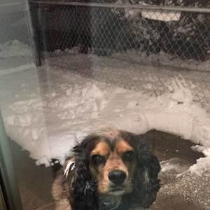 Meet your Posher, Jean